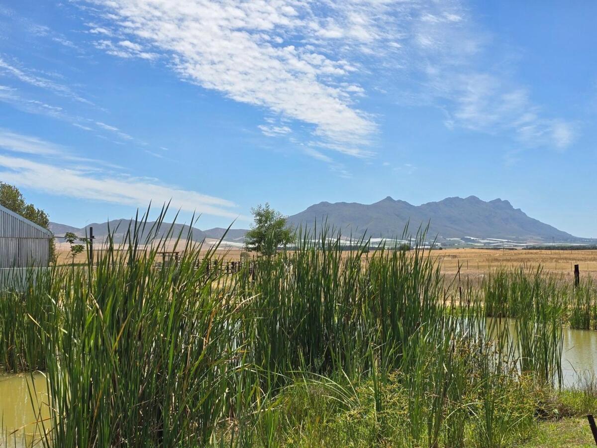 Riebeek Valley * Hermon
